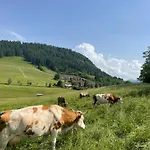 Apartment Oberallgaeu Mit Schwimmbad