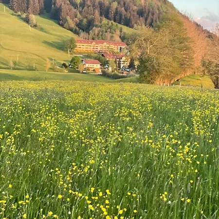 Oberallgaeu Mit Schwimmbad *