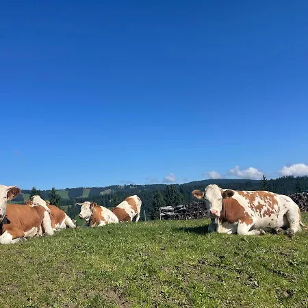 Oberallgaeu Mit Schwimmbad