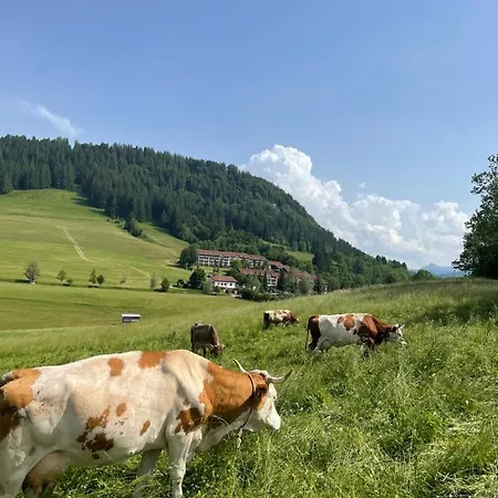 Apartamento Oberallgaeu Mit Schwimmbad