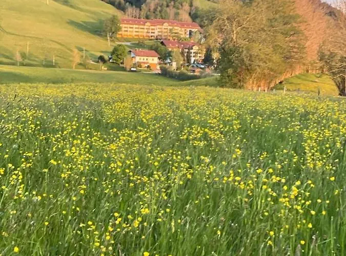 Oberallgaeu Mit Schwimmbad *