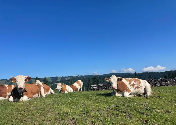 Oberallgaeu Mit Schwimmbad